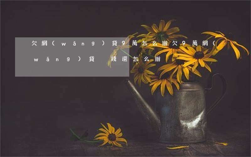 欠網(wǎng)貸9萬怎么辦(欠9萬網(wǎng)貸沒錢還怎么辦)