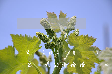 欠網(wǎng)貸9萬老婆要跟我離婚怎么辦(老公偷偷借網(wǎng)貸離婚我要還嗎)