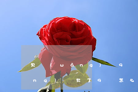 欠網(wǎng)貸9萬還有救嗎(網(wǎng)貸欠了9萬怎么辦)