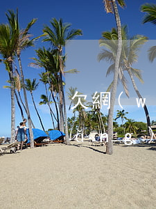 欠網(wǎng)貸一下子還不上(欠網(wǎng)貸還不起會(huì)怎樣)