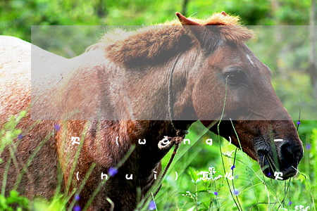欠網(wǎng)貸一個(gè)億不還會(huì)怎么樣(欠網(wǎng)貸一千不還了會(huì)怎么樣)
