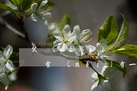 欠網(wǎng)貸一個(gè)月后還行嗎(有沒(méi)有一個(gè)月還款的網(wǎng)貸)