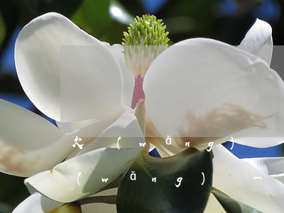 欠網(wǎng)貸一兩千不還會怎樣(欠網(wǎng)貸一兩千不還會怎樣)