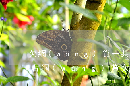 欠網(wǎng)貸一共一萬(wàn)左右(網(wǎng)貸欠了1萬(wàn)多怎么辦)