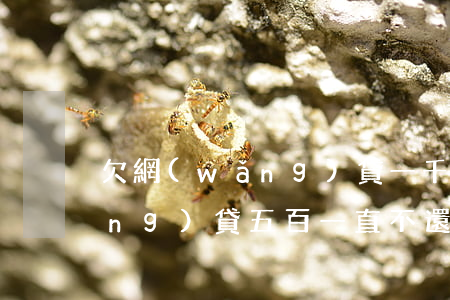 欠網(wǎng)貸一千五不還(欠網(wǎng)貸五百一直不還會咋樣)