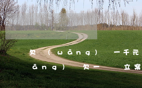 欠網(wǎng)貸一千元會立案嗎(網(wǎng)貸欠一萬會立案嗎)