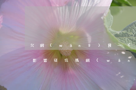 欠網(wǎng)貸一千兩千會(huì)影響征信嗎(網(wǎng)貸幾千會(huì)影響征信嗎)
