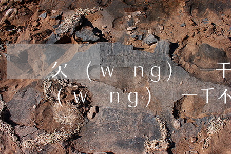 欠網(wǎng)貸一千塊不還會怎樣(欠網(wǎng)貸一千不還了會怎么樣)