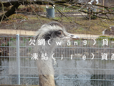 欠網(wǎng)貸一千塊錢會(huì)凍結(jié)資產(chǎn)嗎(網(wǎng)貸一筆錢被凍結(jié))