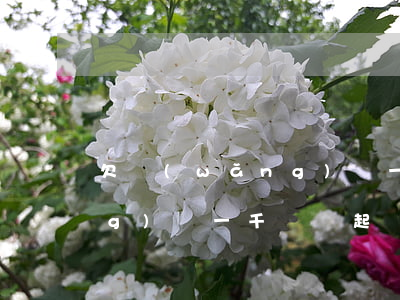 欠網(wǎng)貸一千塊錢(欠網(wǎng)貸一千塊錢起訴管用嗎)