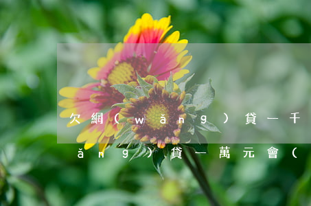 欠網(wǎng)貸一千塊錢起訴(欠網(wǎng)貸一萬元會(huì)被起訴嗎)