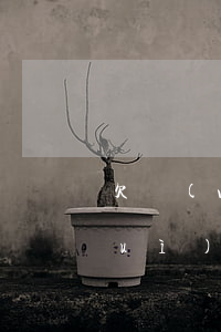 欠網(wǎng)貸一千多塊錢真的會(huì)報(bào)案嗎(網(wǎng)貸欠一千多塊錢要上訴我)