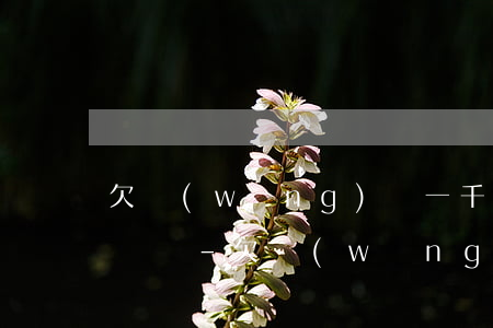 欠網(wǎng)貸一千多幾年沒還會被起訴嗎-欠網(wǎng)貸一千多幾年沒還會被起訴嗎知乎