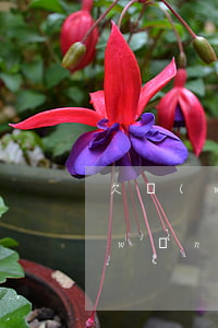 欠網(wǎng)貸一千多能起訴么(欠網(wǎng)貸1千多會(huì)被起訴嗎)