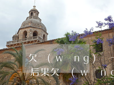 欠網(wǎng)貸一年不還會是什么樣的后果(欠網(wǎng)貸一輩子不還)