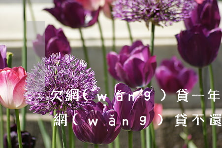 欠網(wǎng)貸一年多沒還還能貸款嗎(網(wǎng)貸不還最嚴(yán)重的后果欠網(wǎng)貸年沒還的嗎)
