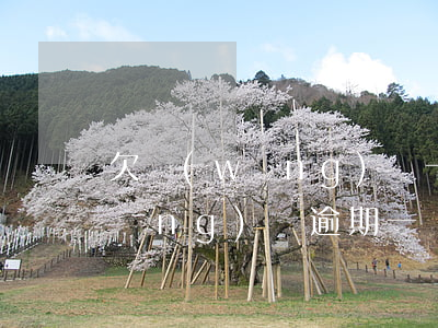 欠網(wǎng)貸一月余沒有催收(網(wǎng)貸逾期一個(gè)半月沒人催收)