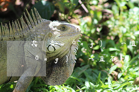 欠網(wǎng)貸一直不換會怎樣(網(wǎng)貸一直不換會怎么樣)