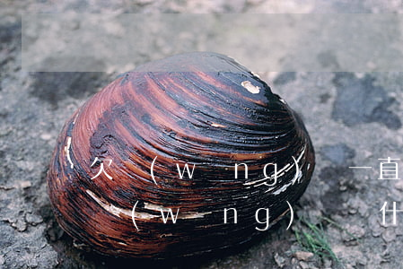 欠網(wǎng)貸一直被催收怎么辦(沒欠網(wǎng)貸為什么有網(wǎng)貸催收)