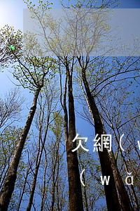 欠網(wǎng)貸一級呆賬什么意思(欠網(wǎng)貸一級呆賬什么意思)