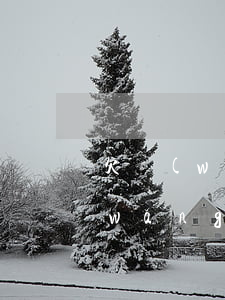 欠網(wǎng)貸一般多少天上門(欠網(wǎng)貸多久會(huì)上門)