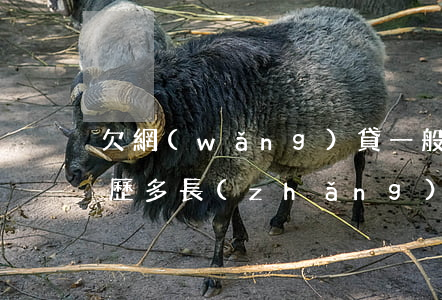 欠網(wǎng)貸一般要經(jīng)歷多長(zhǎng)時(shí)間催收-