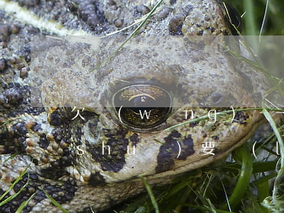 欠網(wǎng)貸一萬(wàn)2說(shuō)要來(lái)我家簽合同(網(wǎng)貸欠了2萬(wàn)不敢跟家里說(shuō))