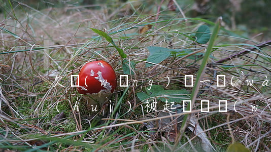 欠網(wǎng)貸一萬(wàn)不還會(huì)被起訴嗎(網(wǎng)貸1萬(wàn)不還會(huì)被起訴嗎)