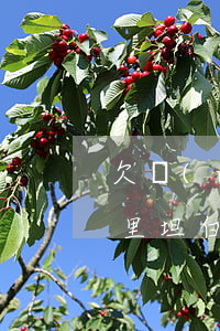 欠網(wǎng)貸一萬(wàn)五和家里坦白么(欠網(wǎng)貸跟家里坦白了)