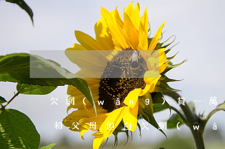 欠網(wǎng)貸一萬(wàn)五怎樣和父母坦白(欠網(wǎng)貸一萬(wàn)五怎樣和父母坦白)