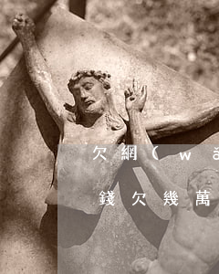欠網(wǎng)貸一萬(wàn)借不到錢(欠幾萬(wàn)塊網(wǎng)貸沒(méi)錢還該怎么辦)