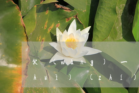 欠網(wǎng)貸一萬(wàn)塊會(huì)執(zhí)行房子嗎(網(wǎng)貸欠一萬(wàn)影響房貸嗎)