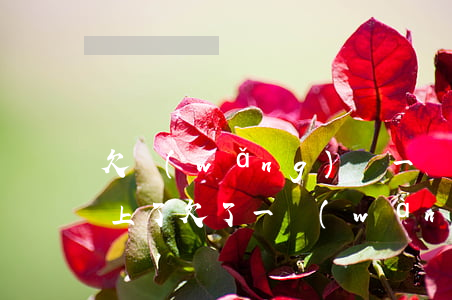 欠網(wǎng)貸一萬(wàn)多還不上了(欠了一萬(wàn)多的網(wǎng)貸無(wú)力償還)