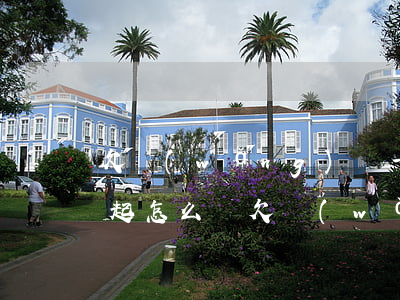 欠網(wǎng)貸一萬(wàn)多還不起怎么辦(欠網(wǎng)貸一萬(wàn)多還不起了怎么辦)