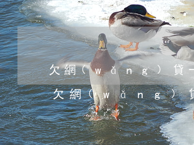 欠網(wǎng)貸一萬(wàn)被代償(欠網(wǎng)貸幾萬(wàn)無(wú)力償還)