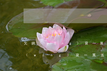欠網(wǎng)貸一萬五不還怎么辦(欠網(wǎng)貸一萬五不還怎么辦)
