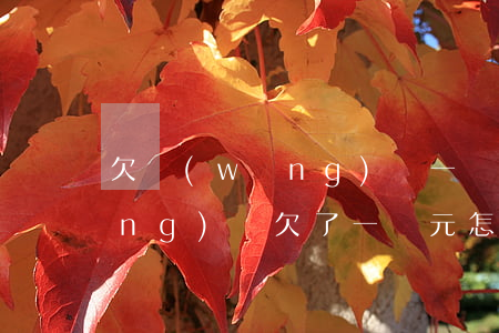 欠網(wǎng)貸一萬五怎么辦(網(wǎng)貸欠了一萬元怎么辦)