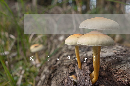 欠網(wǎng)貸一萬五沒還怎么辦