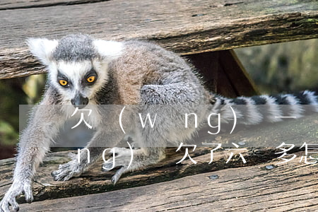 欠網(wǎng)貸一萬六怎么辦(網(wǎng)貸欠了六萬多怎么辦)