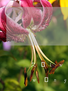 欠網(wǎng)貸一萬叫誰借錢還(欠網(wǎng)貸了5萬)