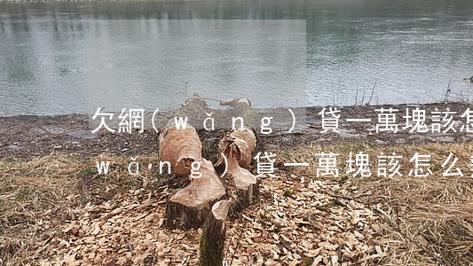 欠網(wǎng)貸一萬塊該怎么辦(欠網(wǎng)貸一萬塊該怎么辦)