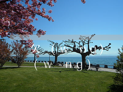 欠網(wǎng)貸一萬塊錢兩年沒還(欠網(wǎng)貸幾十萬,一年沒還)