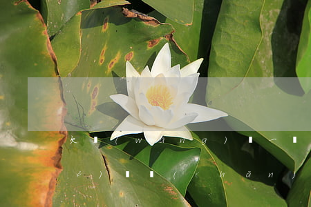 欠網(wǎng)貸一萬塊錢會凍結(jié)資產(chǎn)嗎(網(wǎng)貸沒還要凍結(jié)資產(chǎn))