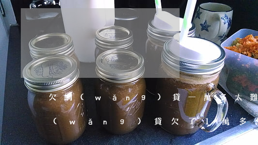 欠網(wǎng)貸一萬多太難說怎么辦(網(wǎng)貸欠了1萬多怎么辦)