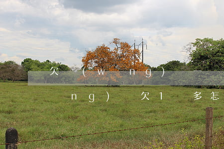 欠網(wǎng)貸一萬多好上岸嗎(網(wǎng)貸欠1萬多怎么上岸)