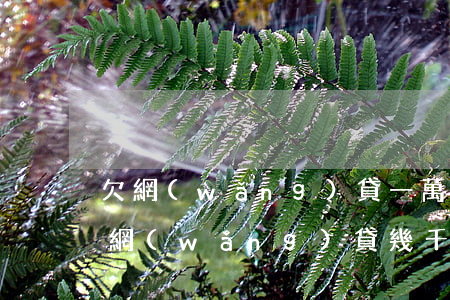 欠網(wǎng)貸一萬多沒還會坐牢嗎(欠網(wǎng)貸幾千塊會坐牢嗎)