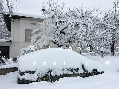 欠網(wǎng)貸一萬多還不上(欠網(wǎng)貸1萬不還會(huì)怎樣)