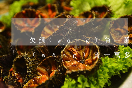 欠網(wǎng)貸一萬還不起怎么辦(欠網(wǎng)貸一萬多還不起了怎么辦)