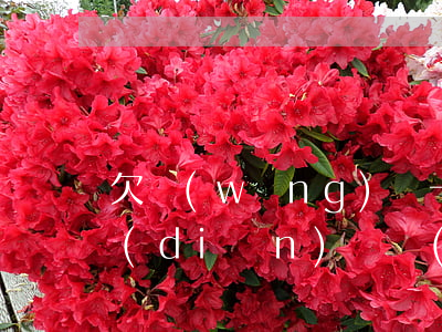 欠網(wǎng)貸一點(diǎn)一點(diǎn)還(網(wǎng)貸逾期每天還一點(diǎn))