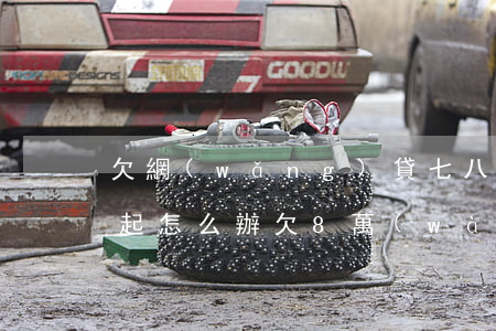 欠網(wǎng)貸七八個(gè)月還不起怎么辦(欠8萬(wàn)網(wǎng)貸還不起了怎么辦)